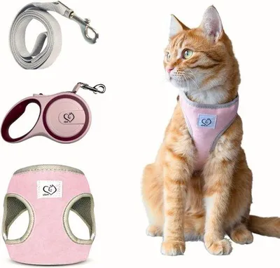 Produktbild von Famanu Verstellbares Automatisches Geschirr mit Katzenharness und Leinen für Katzen, Kätzchen, Welpen oder Hunde - Entfluchtungsbeständig und
