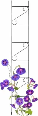 Produktbild von Famanu Pflanzenstütze - Stabil und wetterfest - 150 cm, 180 cm, 210 cm