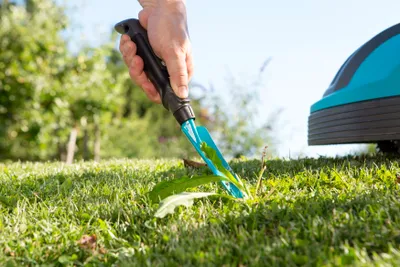Unkrautstecher Aus Karbonstahl - Handrechen 5-8 Zähne Für Gartenarbeit