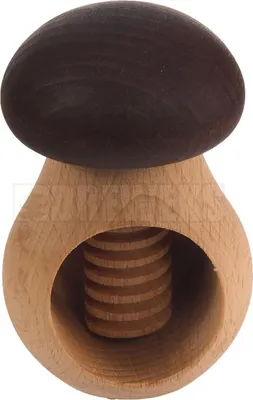 Image de Casse-noix - champignon brun