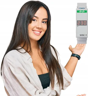 Image de Indicateur de tension Voltmètre monophasé 80-500V AC IP20 WNC-1 F&F Autres