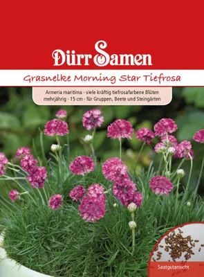 Produktbild von Dürr Samen Grasnelke Morning Star - gelb mit Auge, 20 cm, 30 Korn