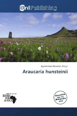 Produktbild von Araucaria hunsteinii