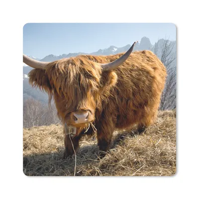 Produktbild von MuchoWow® Mauspad Mousepad Schottischer Highlander - Berg - Schnee 30x30 cm - Mousepads - Maus Mat - Pad - Mausunterlage - Gaming