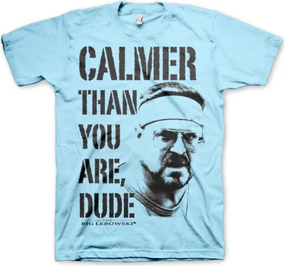 Imagen del producto de Camiseta "Más tranquilo que tú, amigo" - Talla XXL - Azul celeste