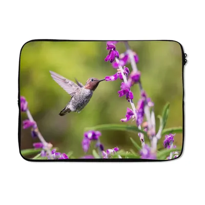 Produktbild von MuchoWow® Laptop Hülle 14 ZollKolibri - Vogel - Natur Laptoptasche - Laptoptasche - Stoßsicher - Schutzhaube