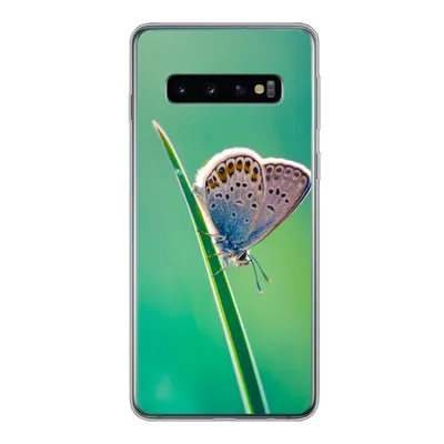 Produktbild von MuchoWow® Handyhülle Schutzhülle Hülle für Samsung Galaxy S10 Schmetterling - Gras - Licht Silikon Softcase Handy Hülle - Handytasche