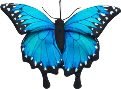 Produktbild von Kuscheltier Schmetterling blau/schwarz 26 cm Plüschtier