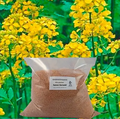 Produktbild von Žltá horčica zelené hnojivo 2 kg čerstvých semien