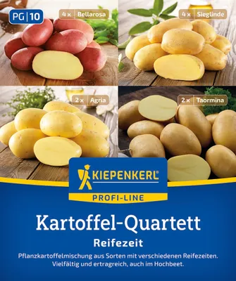 Produktbild von Kiepenkerl Pflanzkartoffel Quartett Reifezeit 12 Stück