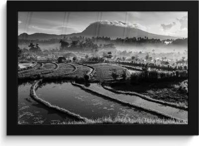 Produktbild von MuchoWow® MuchoWow® Gerahmtes Poster Indonesien - Natur - Schwarz - Weiß 30x20 cm - Poster mit zchwarzem Bilderrahmen - Kunstdruck - Bild-Poster