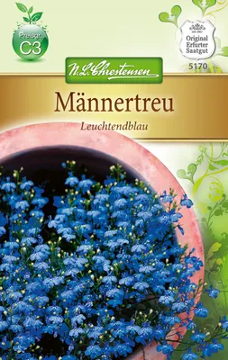 Produktbild von Männertreu Leuchtendblau | Blumensamen von N.L. Chrestensen