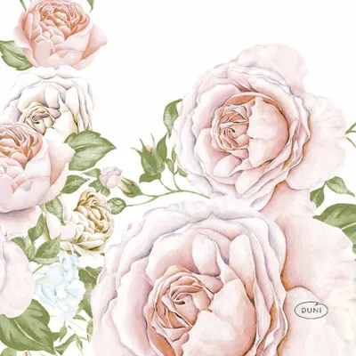 Produktbild von Duni Servietten Rose Glory 24 x 24 cm - 20er Pack