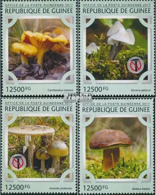 Produktbild von Briefmarken Guinea 2017 Mi 12156-12159 (kompl. Ausgabe) postfrisch Pilze