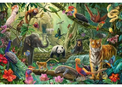 Image de Puzzle faune coloree dans la jungle 100 pieces - animaux sauvages - schmidt - 56485