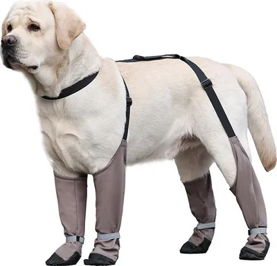 Produktbild von INF Anti-Rutsch & Warme Hundeschuhe: Pfotenschutz für große Rassen L