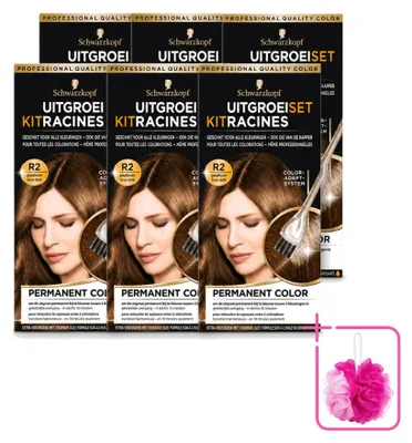 Obrázek produktu pro 6 kusů Schwarzkopf Ansatzset Goudbruin R2 - výhodná sada
