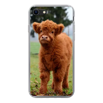 Produktbild von MuchoWow® Handyhülle Schutzhülle Hülle für iPhone SE 2022 Scottish Highlander - Kalb - Gras Silikon Softcase Handy Hülle - Schutzhülle