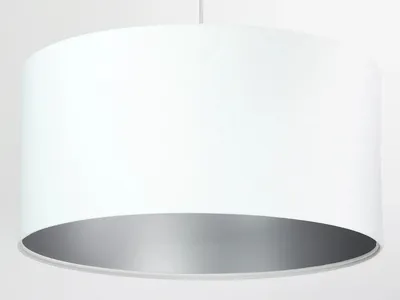 Zdjęcie produktu dla Lampa wisząca HOME 50 biała/srebrna