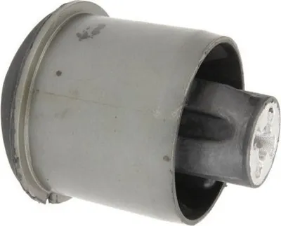 Produktbild von REINHOCH RH20-2019 Achslager für RENAULT SCÉNIC II (JM0/1) Hinten