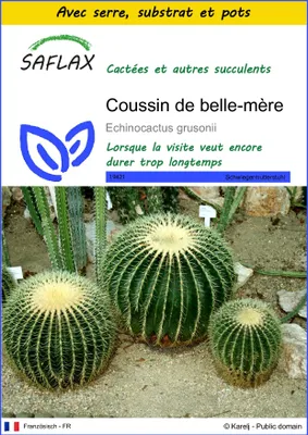 Image de SAFLAX Ensemble de culture - Coussin de belle-mère - 40 graines - Echinocactus