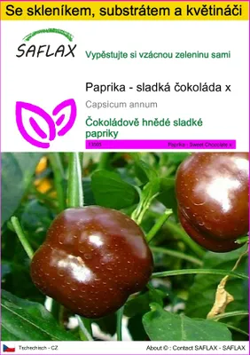 Obrázek produktu pro SAFLAX Kultivační sada - Paprika - sladká čokoláda x - Capsicum annum - 10 Semena - S mini skleníkem, pěstebním substrátem a 2 květináči
