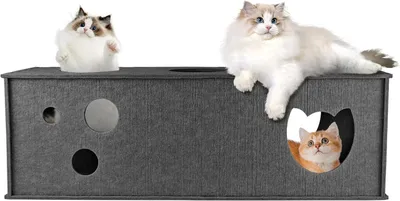 Produktbild von Katzenhöhle Homegroove Katzentunnel für Hauskatzen, großer Filz, L-förmiger Katzentunnel, interaktiver Katzentunnel, DIY Peekaboo-Katzenspielzeug mit