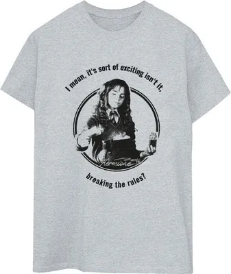 Produktbild von Harry Potter - "Breaking The Rules" T-Shirt für Damen BI27775 (XXL) (Grau)