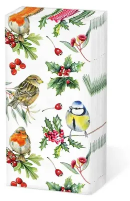 Image de Mouchoirs en papier Ambiente – Oiseaux en hiver