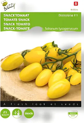 Produktbild von Snacktomate Dattolime F1 | Snacktomatensamen von Buzzy Seeds