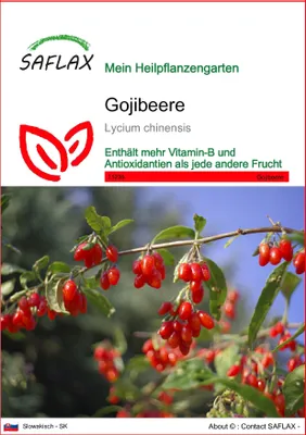 Produktbild von SAFLAX - Gojibeere - Lycium chinensis - 200 Semená