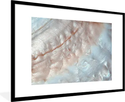 Produktbild von MuchoWow® Gerahmtes Poster Muscheln - Abstrakt - Natur 90x60 cm - Poster mit Schwarzem Bilderrahmen Wandposter Rahmen Foto Bilder - Wanddekoration - Fotos