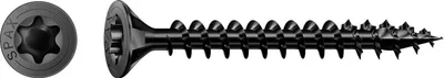 A black screw with a star-shaped head and a partial thread.