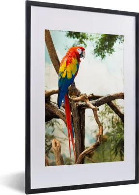 Produktbild von MuchoWow® Gerahmtes Poster Papagei - Vogel - Regenbogen - Tropisch 40x60 cm - Poster mit Schwarzem Bilderrahmen Wandposter Rahmen Foto Bilder - Poster in Rahmen