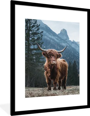 Produktbild von MuchoWow® Gerahmtes Poster Schottischer Highlander - Tiere - Wald 60x80 cm - Poster mit Schwarzem Bilderrahmen Wandposter Rahmen Foto Bilder - Wohnzimmer - Dekorationen - Prämie
