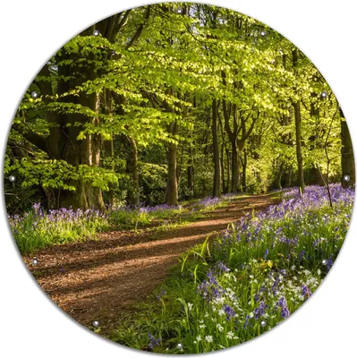 Produktbild von Wallario rundes Outdoor-Poster für Garten oder Balkon, Motiv Blaues Hasenglöckchen im Sommerwald, 120 cm Durchmesser