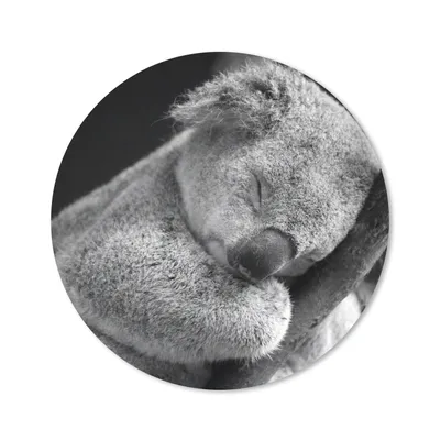 Produktbild von MuchoWow® Mauspad Mousepad Koala - Schlafend - Schwarz - Kinder - Jungen - Mädchen 30x30 cm - Mousepads - Maus Mat - Pad - Mausunterlage - Tischunterlage - Schreibtischmatten