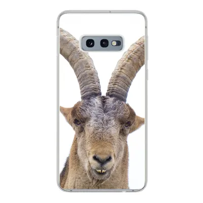 Produktbild von MuchoWow® Handyhülle Schutzhülle Hülle für Samsung Galaxy S10e Steinbock - Tiere - Hoorn Silikon Softcase Handy Hülle - Handy