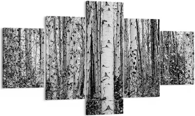Produktbild von Bild auf Leinwand - Leinwandbild - 5 Teile - Birken Wald Monochrom - 125x70cm - Wand Bild - Wanddeko - Wandbilder - Leinwanddruck - Bilder - Wanddekoration - Leinwand bilder - Wandbild - EA125x70-4643