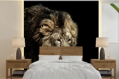 Produktbild von MuchoWow® Fototapete für Wohnzimmer oder Schlafzimmer Wandtapete Vinyl Motivtapete Löwe - Tiere - Schwarz - 300x300 cm - Wanddekoration