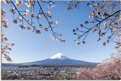 Produktbild von ARTland Leinwandbild Blick auf den Fuji bei Kirschblüte Größe: 30x20 cm