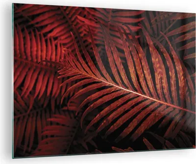 Produktbild von Bilder auf glas - Einteilig - Rot Blätter Palmen - 70x50cm - Glasbilder - Wandbilder - Bilder - zum Aufhängen bereit - Wanddekoration aus Glas - Glas Bilder - Wandbild auf Glas - GAA70x50-4816