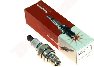 Image de Bougie Dolpima Mini ( Cmr6H, Usr7Ac )