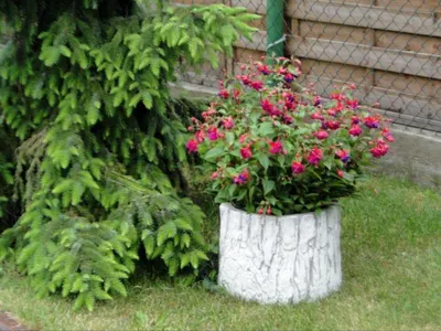 Image de Pot de fleurs Plantation Bac Décoration Figure Pots de fleurs Jardin Vases Récipient 204068
