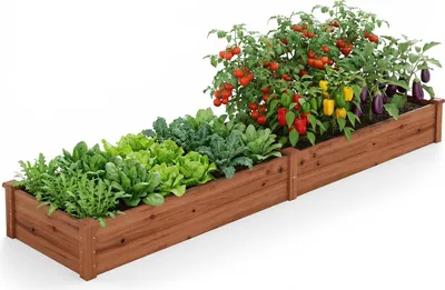 A raised garden bed filled with various vegetables and plants.