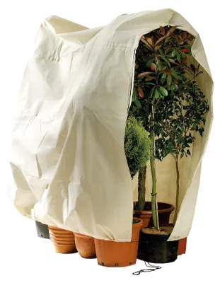 Produktbild von BioGreen Winterschutz für Kübelpflanzen "Jumbo" H 200 x B 240 cm