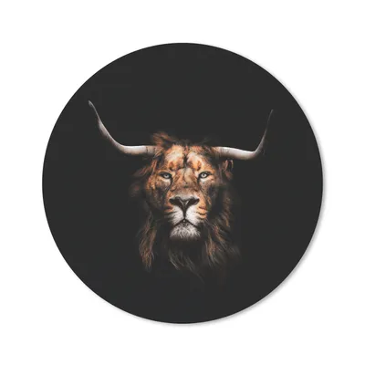 Produktbild von MuchoWow® Mauspad Mousepad Löwe - Tiere - Schottischer Highlander 30x30 cm - Mousepads - Maus Mat - Pad - Mausunterlage - Tischunterlage - Schreibtischmatten