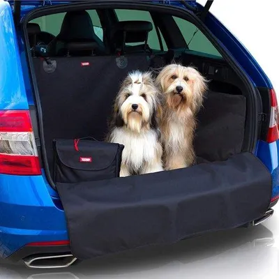 Image de Tapis de protection pour coffre de voiture Famanu, spécialement conçu pour les chiens : tapis imperméable avec protection latérale et protection pour pare-chocs, incluant une sacoche