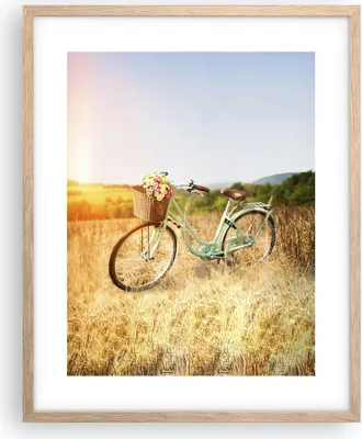 Produktbild von Gerahmtes Poster - Rahmen in heller Eiche - Fahrrad Wiese Blumen - 40x50 cm - Wand Bild - Wanddeko - Wandbilder - Wandposter - Bilderrahmen - Bilder - Kunstdruck - Wandbild - P2NPA40x50-4206