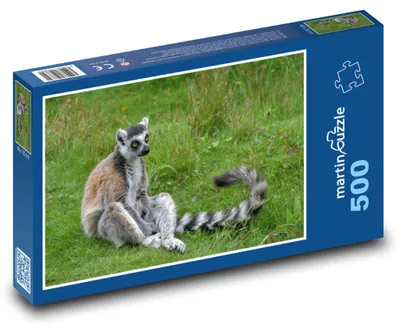 Zdjęcie produktu dla Puzzle 500 Lemur na zielonej łące - martinpuzzle